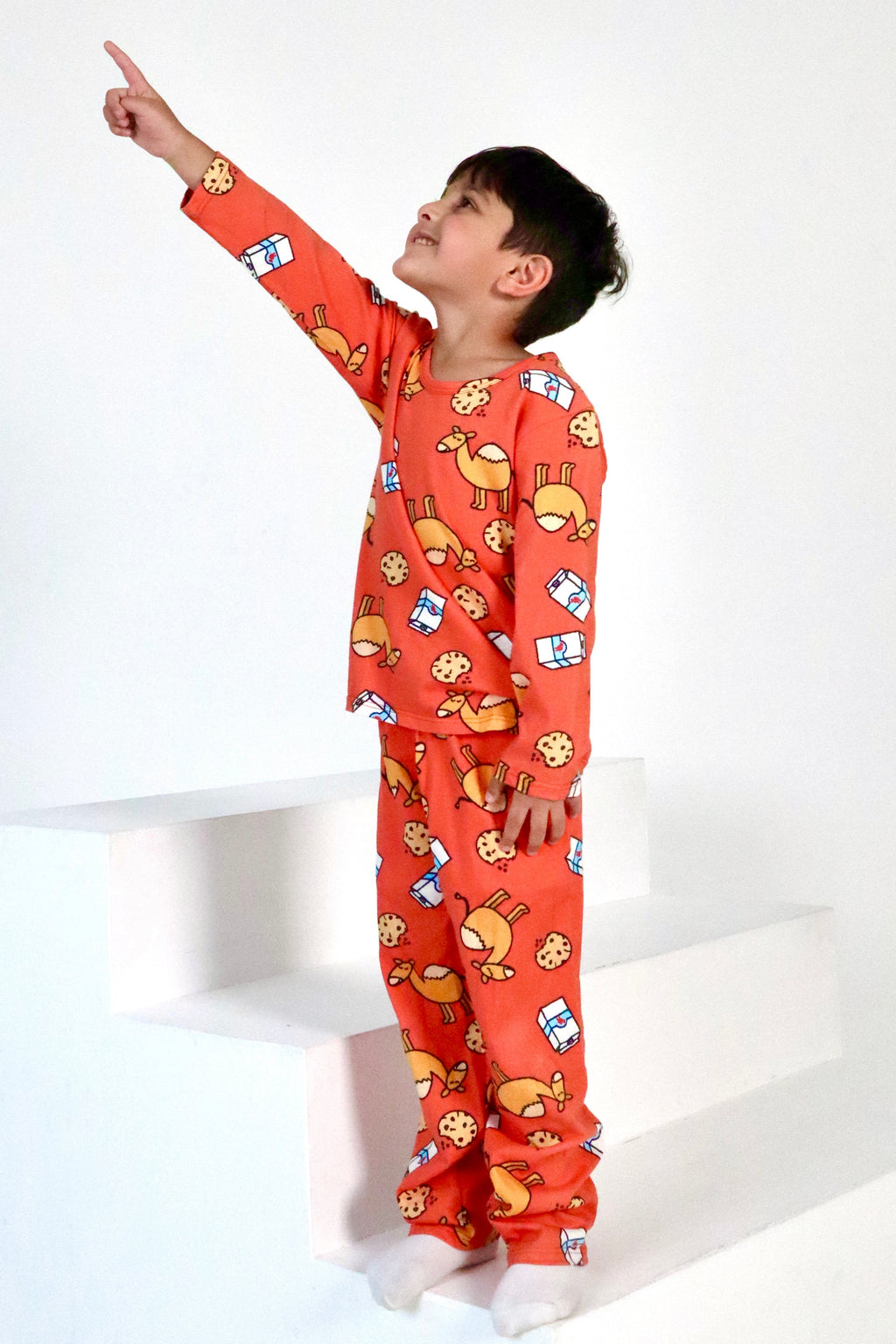 Camel & Cookies